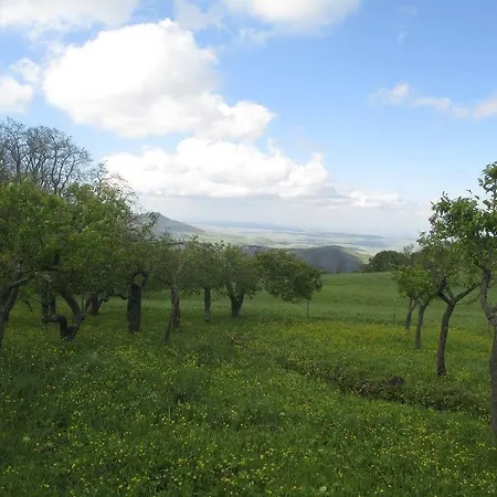 Farm stay Masseria Salecchia